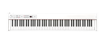 Picture of Korg D1WH | Digital Piano