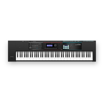 Roland JUNO-DS88 | 88 Weighted Key Synthesizer