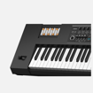 Roland JUNO-DS88 | 88 Weighted Key Synthesizer
