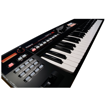 Picture of Roland XPS-10 | Expandable Synthesizer