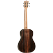 Tanglewood TWT20 Baritone Ukulele Back