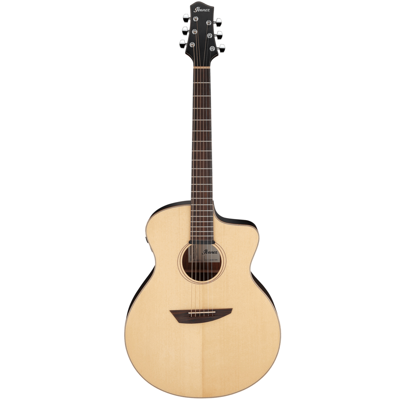 Ibanez PA300ENSL Acoustic Front