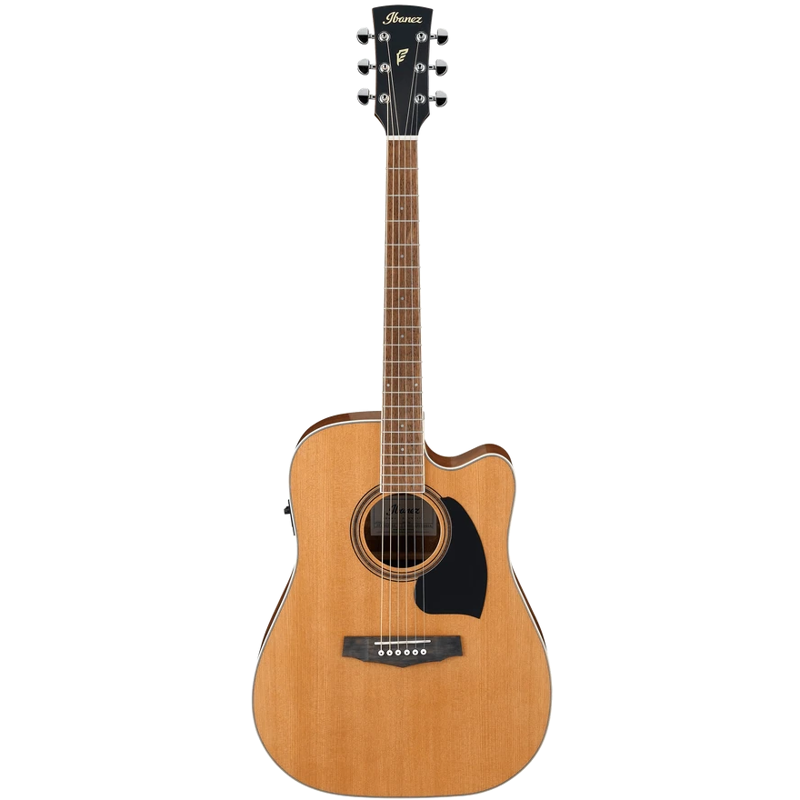 Ibanez PF17ECELG Acoustic Electric Guitar Front