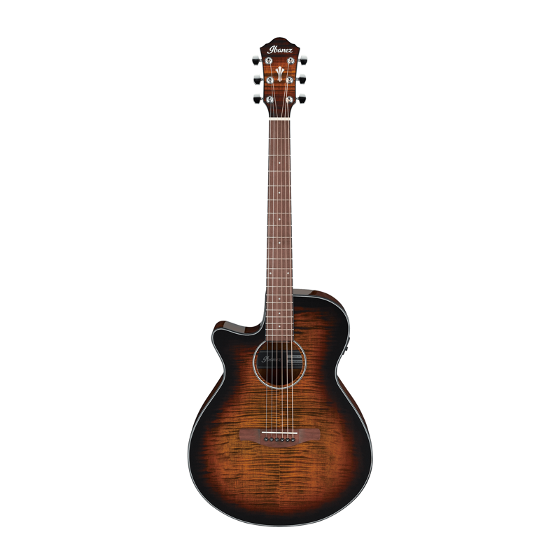 Ibanez AEG70L Acoustic Elec Left Handed Front