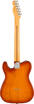 Fender American Pro II Telecaster Sienna Back