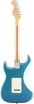 Fender LTD ED Player Strat Back