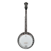Ibanez B200 Banjo 5 string