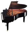 Yamaha C3XPE | Grand Piano 2