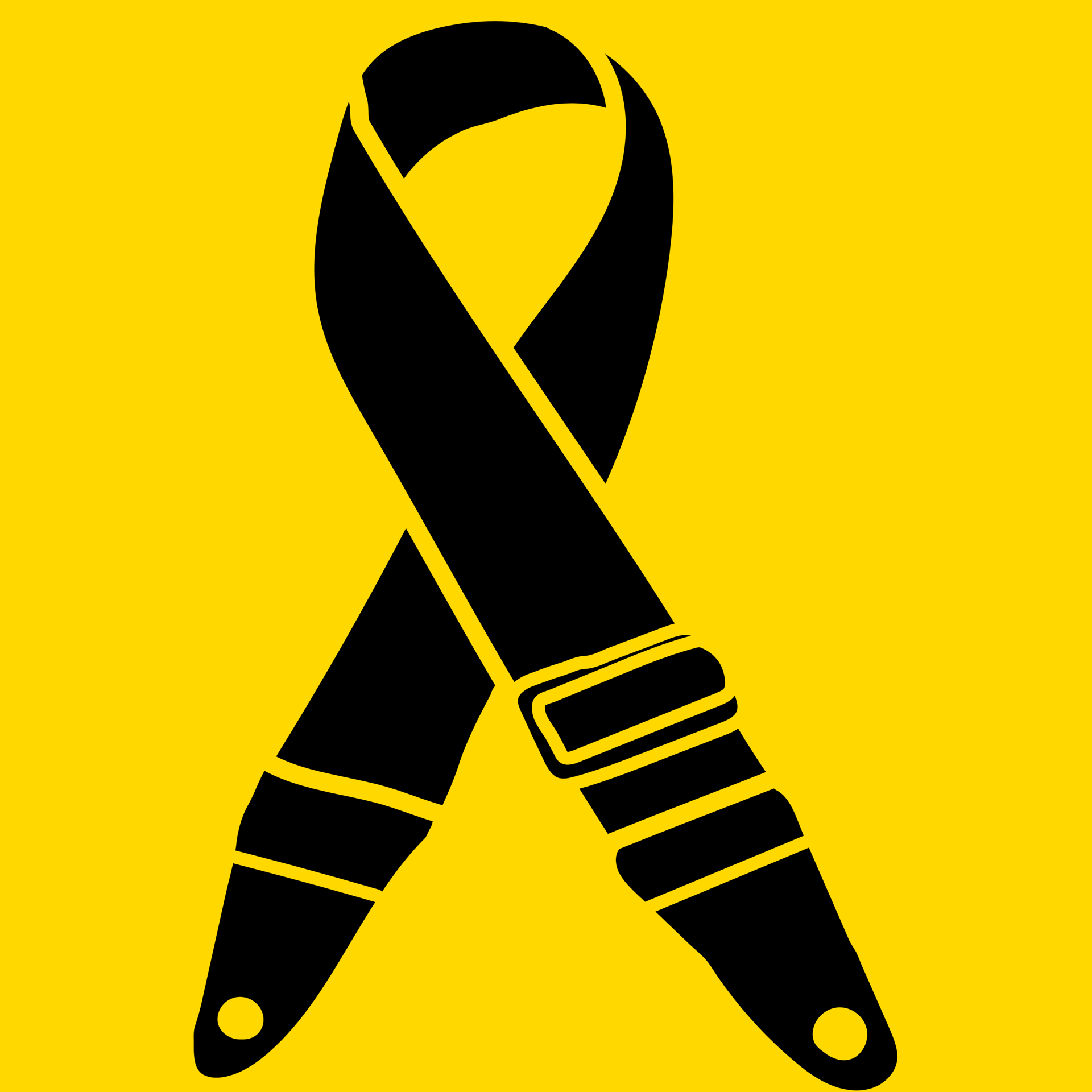 Picture for category Straps