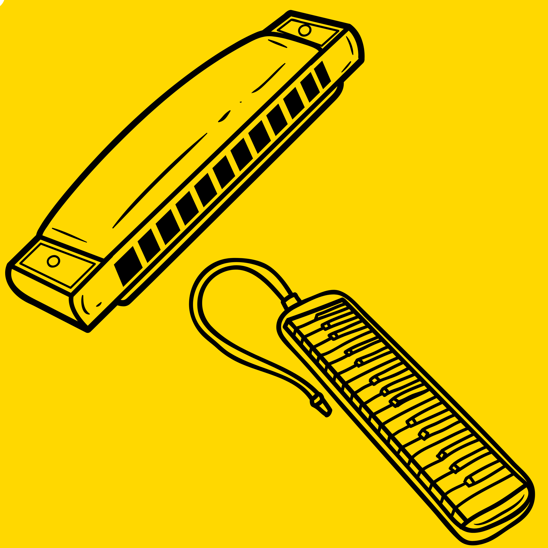 Picture for category Harmonicas, Melodicas & Other