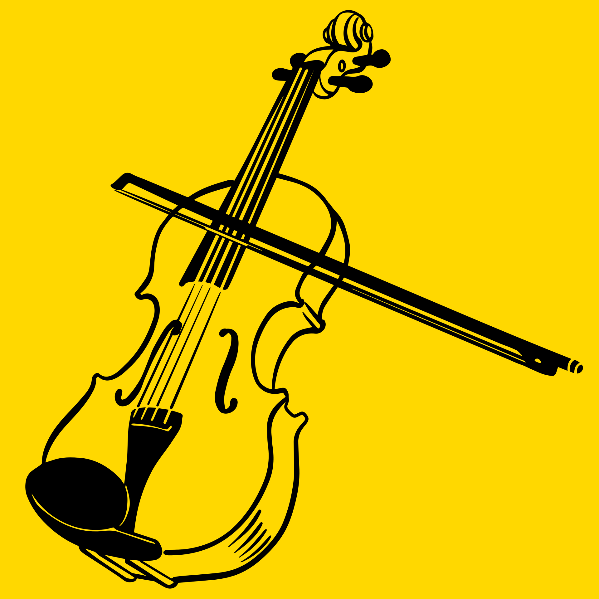 Picture for category Violas