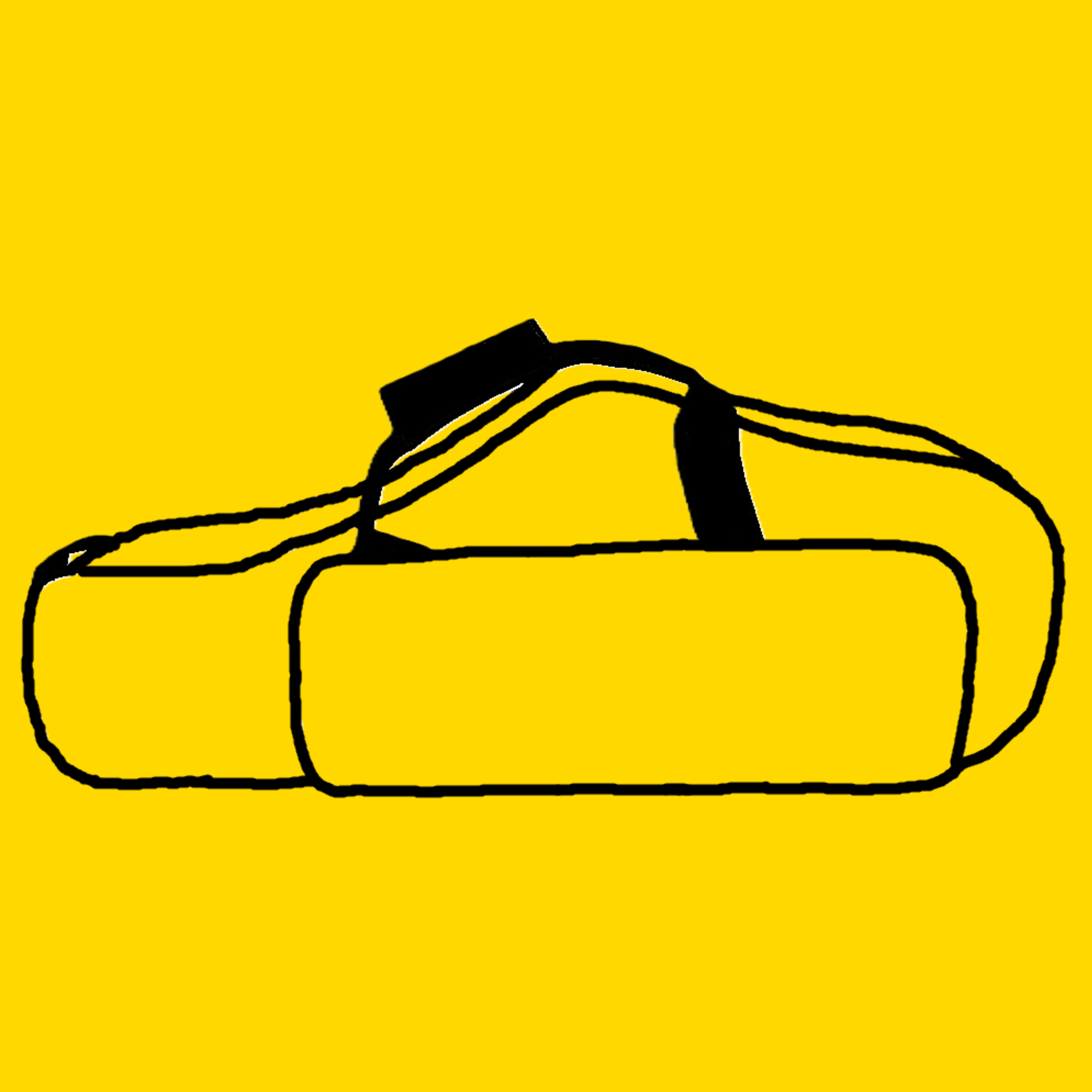 Picture for category Bags & Cases