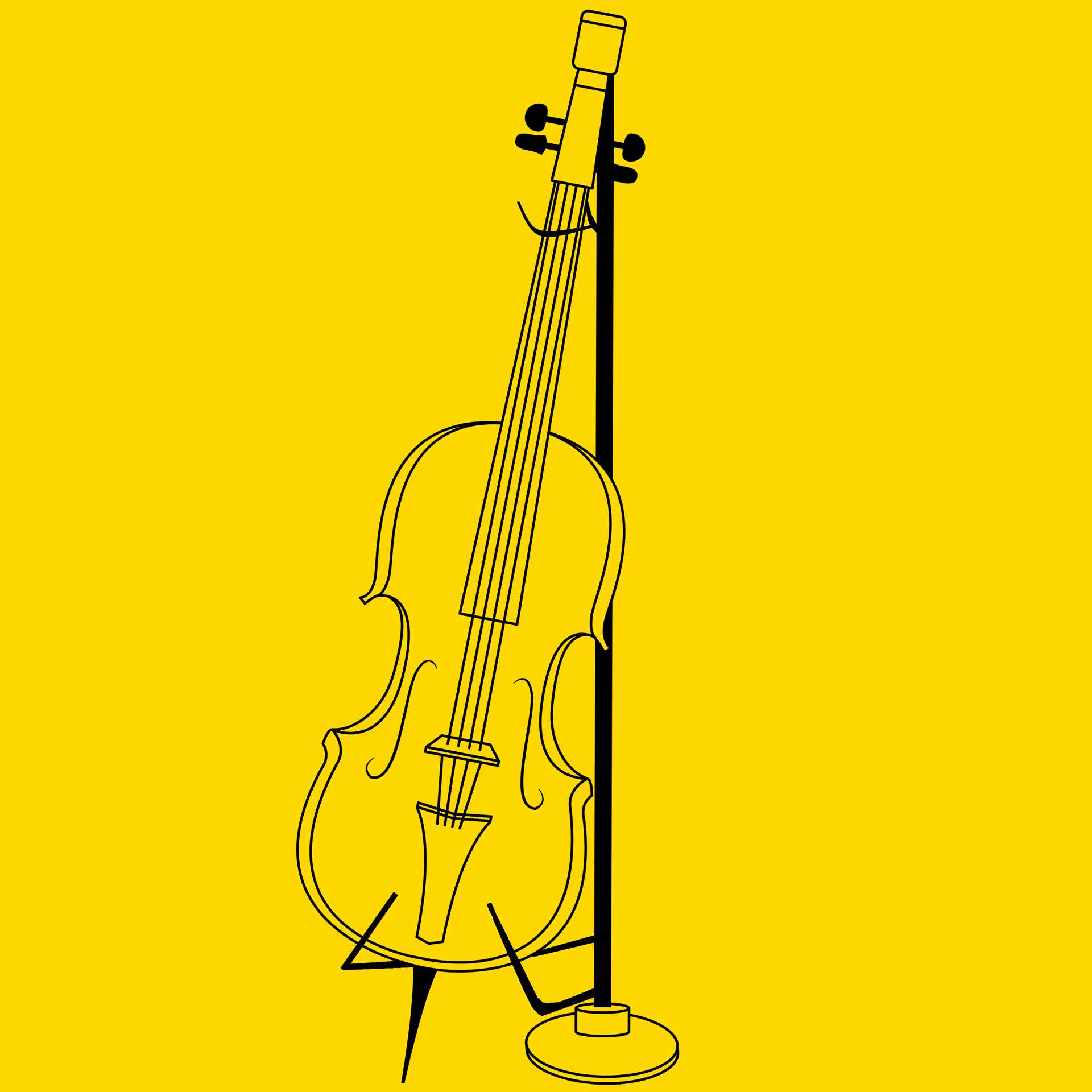 Picture for category Cello & Double Bass