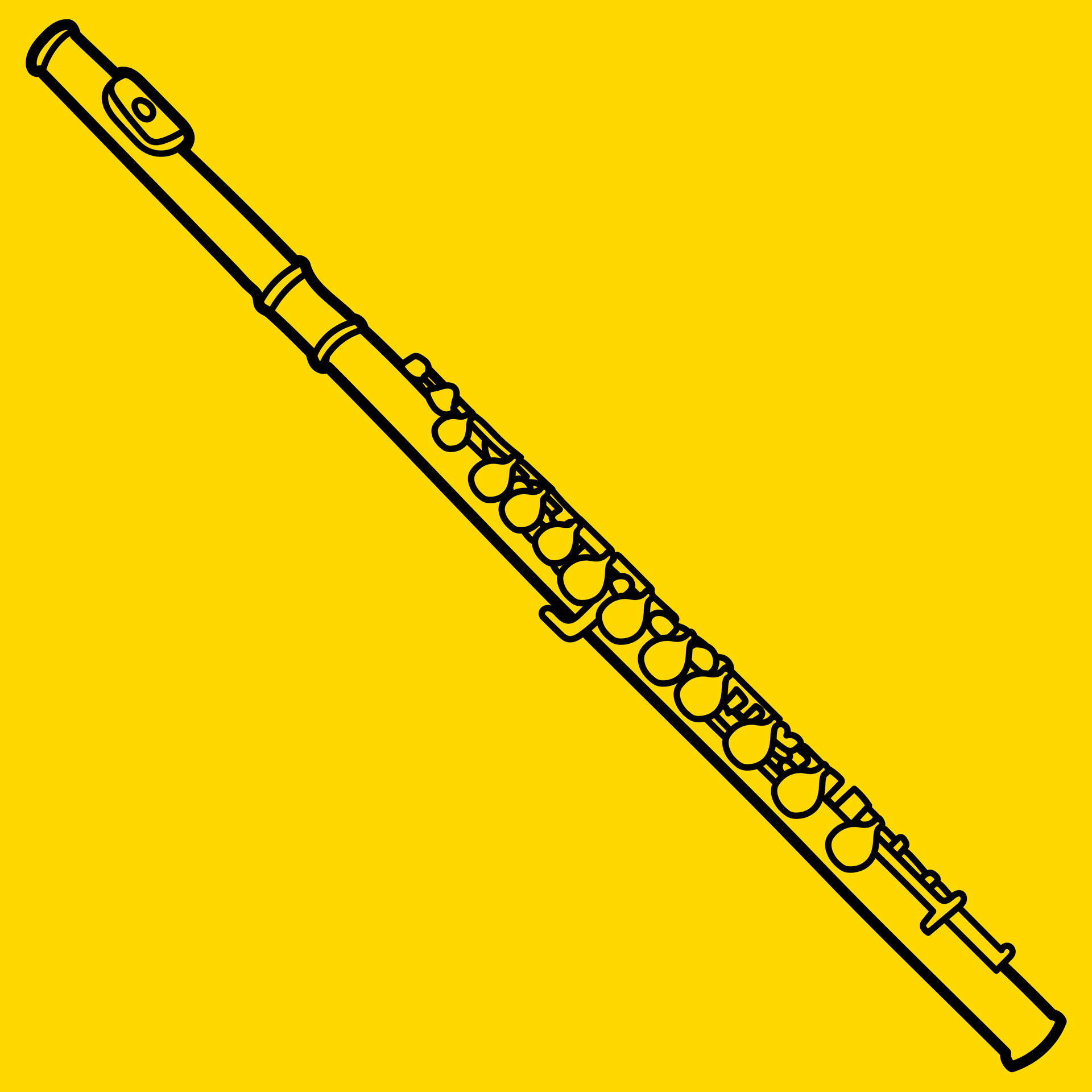 Picture for category Flutes & Piccolos