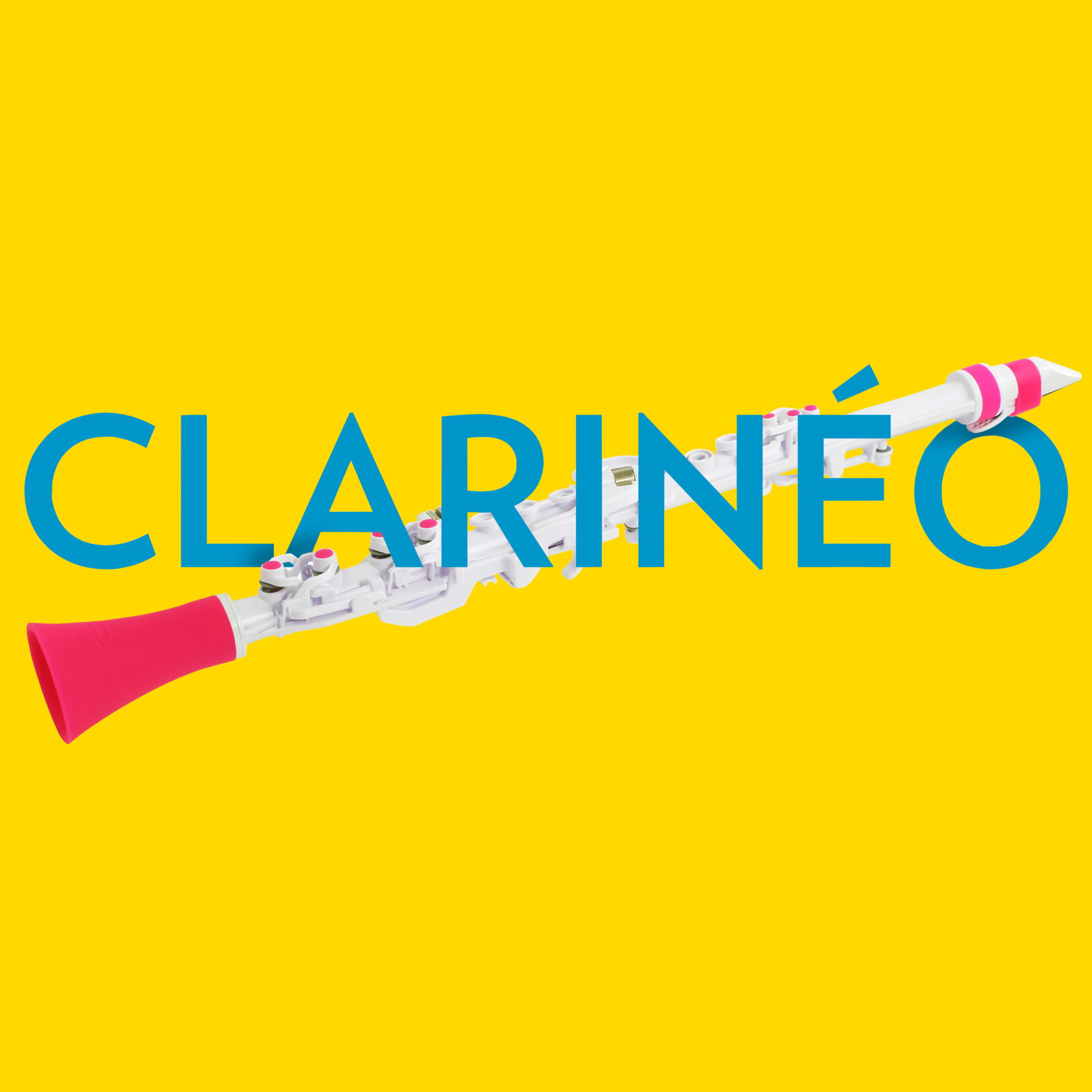 Picture for category Clarineo