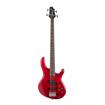 Cort Action Bass Plus | 4 String Bass Guitar (Trans Red)