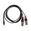 RubiQube TCDXL | Type C to Dual XLR Male 1.8M 2