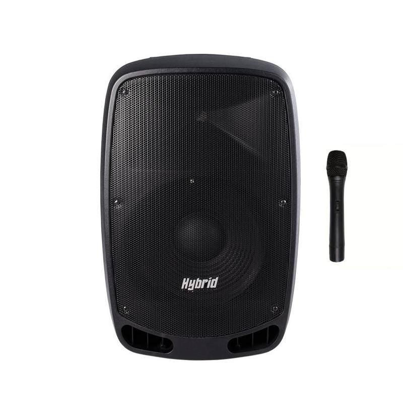 Hybrid PA12B | Portable PA System (with Cordless Mic)