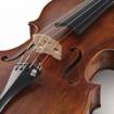 Stentor Arcadia | 4/4 Handmade Violin (Antique finish)