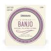 D'addario EJ60+ | 5 String Banjo Strings