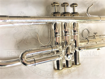 Renaissance Exuberance II | Bb Trumpet