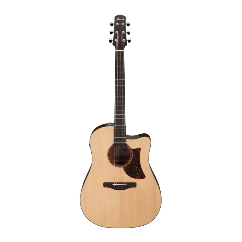 Ibanez AAD170CELGS | Acoustic Electric Guitar