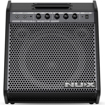 NUX NPA100 | Pro Personal Monitor Speaker