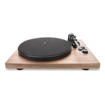Argon ARGTTMKIIWALNUT | Belt Driven Turntable Walnut