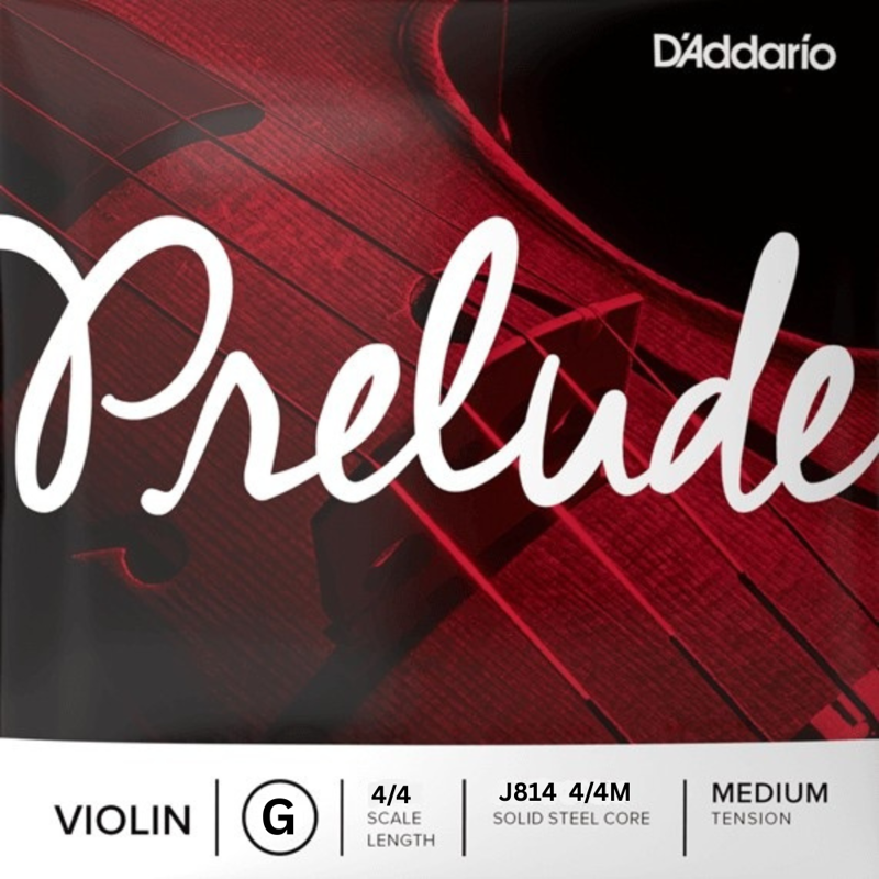 D'addario J814 4/4M | 4/4 Violin String (G)