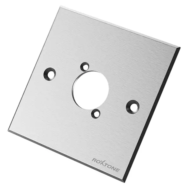 Roxtone RWPA60-1-SL | Wallplate Insert (Silver)