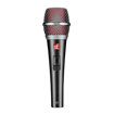 sE Electronics V2 Switch | Multipurpose Dynamic Mic