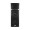 Hybrid PLB215 MKII | 2 x 15" Passive Speaker