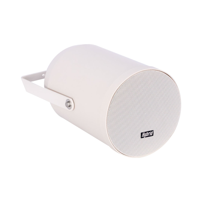 Hybrid  SP6 | 6" 30watt 100v Coaxial Speaker