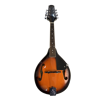 New York Pro M1 | Mandolin Including Case (Pre-Owned)