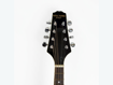 New York Pro M1 | Mandolin Including Case (Pre-Owned)
