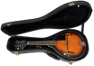 New York Pro M1 | Mandolin Including Case (Pre-Owned)